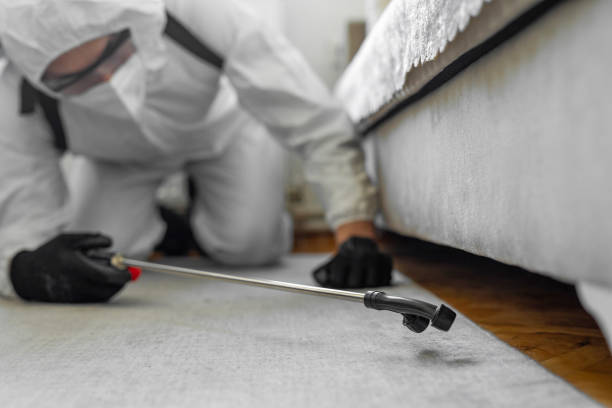 Professional Bed Bug Control technician working in Hammond, WI